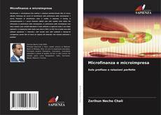 Bookcover of Microfinanza e microimpresa
