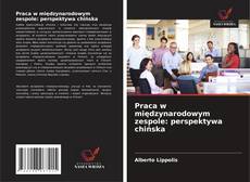 Praca w międzynarodowym zespole: perspektywa chińska的封面