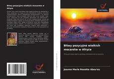 Bookcover of Bitwy pozycyjne wielkich mocarstw w Afryce
