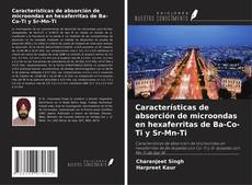 Buchcover von Características de absorción de microondas en hexaferritas de Ba-Co-Ti y Sr-Mn-Ti