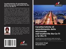 Bookcover of Caratteristiche di assorbimento delle microonde nell'esaferrite Ba-Co-Ti e Sr-Mn-Ti