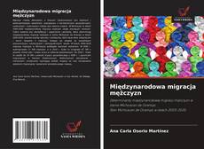 Copertina di Międzynarodowa migracja mężczyzn