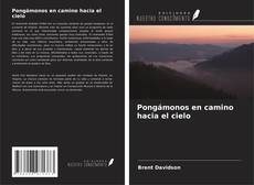 Capa do livro de Pongámonos en camino hacia el cielo 