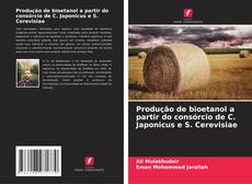 Portada del libro de Produção de bioetanol a partir do consórcio de C. Japonicus e S. Cerevisiae