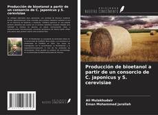 Producción de bioetanol a partir de un consorcio de C. japonicus y S. cerevisiae的封面