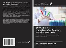 Buchcover von UV-Visible y cromatografía: Teoría y trabajos prácticos