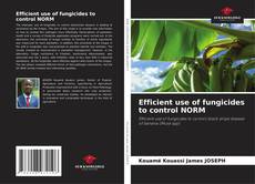 Buchcover von Efficient use of fungicides to control NORM