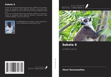 Portada del libro de Sokela 6