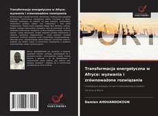 Copertina di Transformacja energetyczna w Afryce: wyzwania i zrównoważone rozwiązania