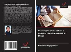 Copertina di Charakterystyka ścieków z garbarni i analiza trendów w Etiopii