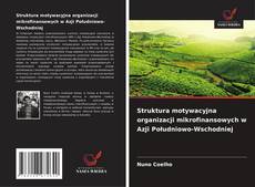 Copertina di Struktura motywacyjna organizacji mikrofinansowych w Azji Południowo-Wschodniej