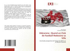 Zebrarena : Quand un Club de Football Redessine sa Ville的封面