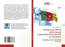 Capa do livro de Pratiques de GRH et performance organisationnelle des CTD au Cameroun 