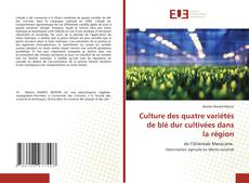 Copertina di Culture des quatre variétés de blé dur cultivées dans la région