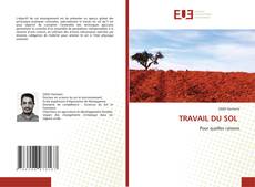 TRAVAIL DU SOL kitap kapağı