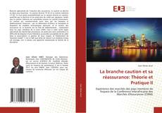 Copertina di La branche caution et sa réassurance: Théorie et Pratique II