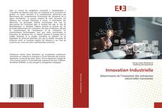 Buchcover von Innovation Industrielle