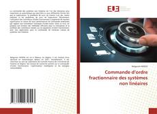Buchcover von Commande d’ordre fractionnaire des systèmes non linéaires