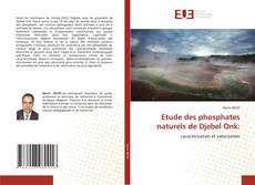 Copertina di Etude des phosphates naturels de Djebel Onk: