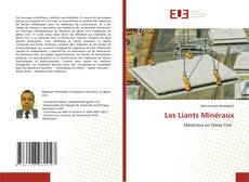 Les Liants Minéraux kitap kapağı