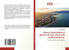 Réseau hydraulique et gestion de l'eau d'une ville méditerranéenne kitap kapağı