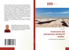 Traitement des phosphates de Bled El Hadba: kitap kapağı