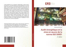 Audit énergétique et la mise en œuvre de la norme ISO 50001 kitap kapağı