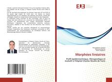 Morphées linéaires kitap kapağı