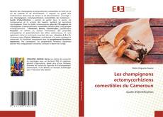 Les champignons ectomycorhiziens comestibles du Cameroun kitap kapağı