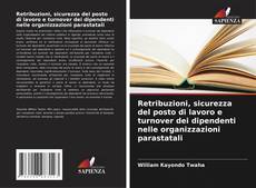 Capa do livro de Retribuzioni, sicurezza del posto di lavoro e turnover dei dipendenti nelle organizzazioni parastatali 