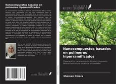Обложка Nanocompuestos basados en polímeros hiperramificados