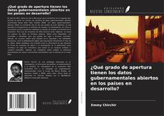 ¿Qué grado de apertura tienen los datos gubernamentales abiertos en los países en desarrollo? kitap kapağı