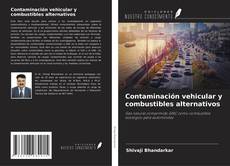 Copertina di Contaminación vehicular y combustibles alternativos