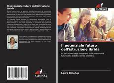 Il potenziale futuro dell'istruzione ibrida kitap kapağı