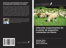 Copertina di Infección experimental de la peste de pequeños rumiantes en Kenia