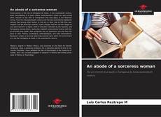 Buchcover von An abode of a sorceress woman