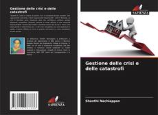 Bookcover of Gestione delle crisi e delle catastrofi