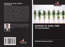 Capa do livro de Abdillahi M. Bade, MED in Curriculum 