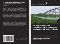 Capa do livro de 3E Agricultura con camelina: agua, energía y esperanza en zonas áridas 