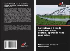 Capa do livro de Agricoltura 3E con la camelina: acqua, energia, speranza nelle zone aride 