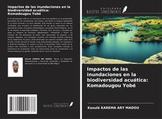 Impactos de las inundaciones en la biodiversidad acuática: Komadougou Yobé kitap kapağı
