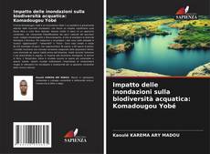 Buchcover von Impatto delle inondazioni sulla biodiversità acquatica: Komadougou Yobé