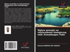 Portada del libro de Wpływ powodzi na różnorodność biologiczną wód: Komadougou Yobé