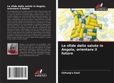 Bookcover of Le sfide della salute in Angola, orientare il futuro