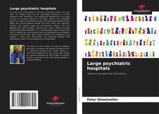 Copertina di Large psychiatric hospitals