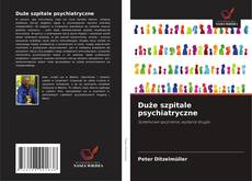 Duże szpitale psychiatryczne的封面