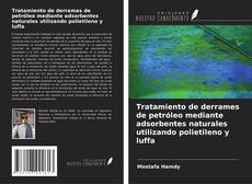 Buchcover von Tratamiento de derrames de petróleo mediante adsorbentes naturales utilizando polietileno y luffa