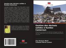 Copertina di Gestion des déchets solides à Kumba-Cameroun