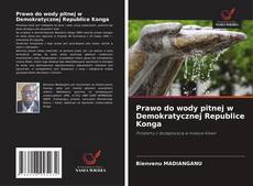 Buchcover von Prawo do wody pitnej w Demokratycznej Republice Konga