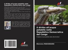 Capa do livro de Il diritto all'acqua potabile nella Repubblica Democratica del Congo 